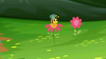 Honig Biene sitzt auf Blume video