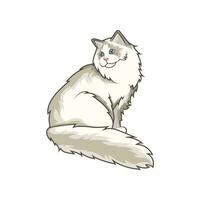 Discover adorable Ragdoll kittens in various charming poses. These high-quality illustrations exude cuteness, perfect for pet-related designs. vector