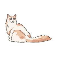 Discover adorable Ragdoll kittens. These high-quality illustrations exude cuteness, perfect for pet-related designs. simple illustration of ragdoll cat. eps10 vector