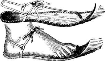 Egyptian Sandal, vintage engraving. vector