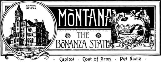 The state banner of Montana the bonanza state vintage illustration vector