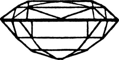 Split Cut is similar to a trap cut, vintage engraving. vector