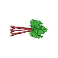 illustration vector graphic of Rhubarb, flat modern style