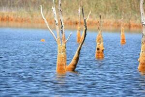 Copper red polluted lake mine photo