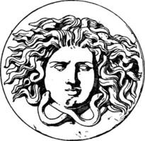 antiguo pátera medusa cabeza es diseño viene desde el centrar de un plato, Clásico grabado. vector