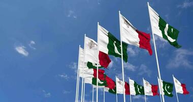 Pakistan and Malta Flags Waving Together in the Sky, Seamless Loop in Wind, Space on Left Side for Design or Information, 3D Rendering video