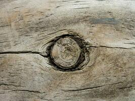 a close up of a wooden plank with a hole in it photo