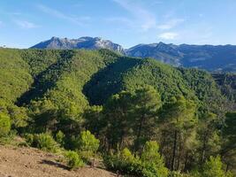 A Sunny Day in the Mountains photo