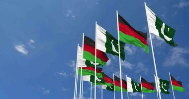 Pakistan and Malawi Flags Waving Together in the Sky, Seamless Loop in Wind, Space on Left Side for Design or Information, 3D Rendering video