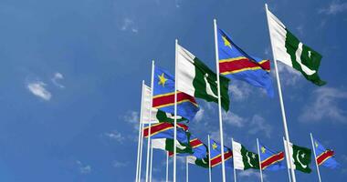 Pakistan and DR Congo Flags Waving Together in the Sky, Seamless Loop in Wind, Space on Left Side for Design or Information, 3D Rendering video