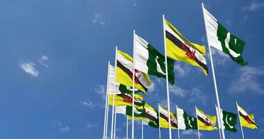 Pakistan and Brunei Flags Waving Together in the Sky, Seamless Loop in Wind, Space on Left Side for Design or Information, 3D Rendering video