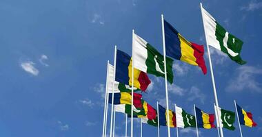 Pakistan and Chad Flags Waving Together in the Sky, Seamless Loop in Wind, Space on Left Side for Design or Information, 3D Rendering video