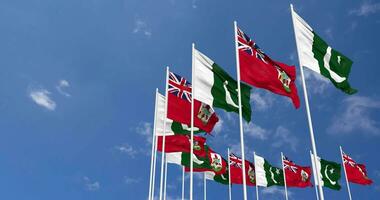Pakistan and Bermuda Flags Waving Together in the Sky, Seamless Loop in Wind, Space on Left Side for Design or Information, 3D Rendering video