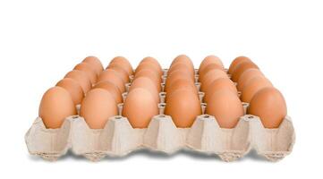 egg tray with fresh brown eggs isolated on white background, clipping path. Fresh organic chicken eggs in carton box. photo