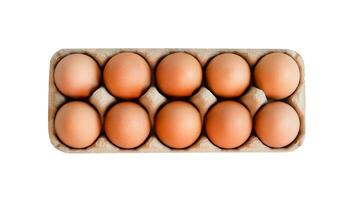 huevo bandeja con Fresco marrón huevos aislado en blanco fondo, recorte camino. Fresco orgánico pollo huevos en caja de cartón caja. foto