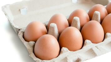 Open box with fresh brown eggs isolated on white background, clipping path. Fresh organic chicken eggs in carton box. photo