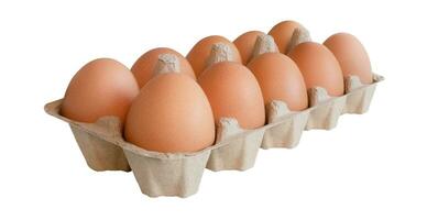 huevo bandeja con Fresco marrón huevos aislado en blanco fondo, recorte camino. Fresco orgánico pollo huevos en caja de cartón caja. foto