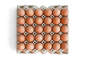 egg tray with fresh brown eggs isolated on white background, clipping path. Fresh organic chicken eggs in carton box. photo