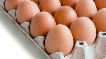 egg tray with fresh brown eggs isolated on white background, clipping path. Fresh organic chicken eggs in carton box. photo