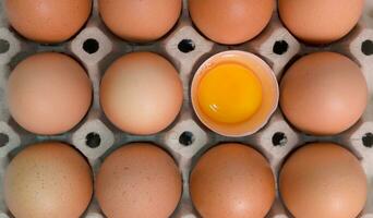 egg tray with fresh brown eggs and half-broken eggs, Fresh organic chicken eggs in carton box. photo