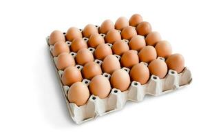 egg tray with fresh brown eggs isolated on white background, clipping path. Fresh organic chicken eggs in carton box. photo