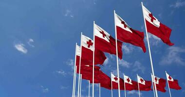 Tonga Flags Waving in the Sky, Seamless Loop in Wind, Space on Left Side for Design or Information, 3D Rendering video