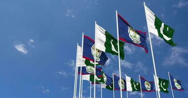 Pakistan and Belize Flags Waving Together in the Sky, Seamless Loop in Wind, Space on Left Side for Design or Information, 3D Rendering video