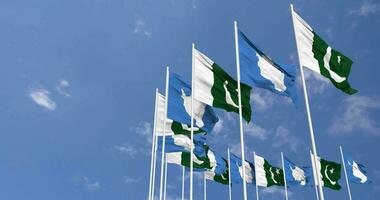 Pakistan and Antarctica Flags Waving Together in the Sky, Seamless Loop in Wind, Space on Left Side for Design or Information, 3D Rendering video