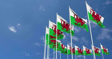 Gales banderas ondulación en el cielo, sin costura lazo en viento, espacio en izquierda lado para diseño o información, 3d representación video