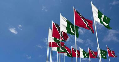 Pakistan and Trinidad and Tobago Flags Waving Together in the Sky, Seamless Loop in Wind, Space on Left Side for Design or Information, 3D Rendering video