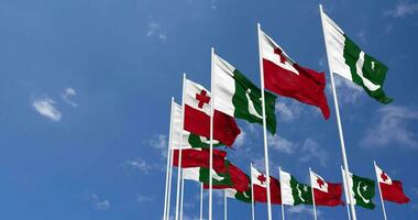 Pakistan and Tonga Flags Waving Together in the Sky, Seamless Loop in Wind, Space on Left Side for Design or Information, 3D Rendering video