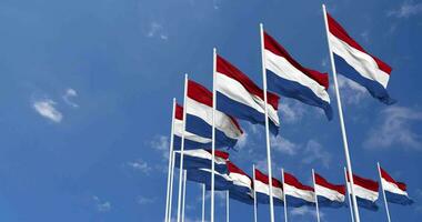 Netherlands Flags Waving in the Sky, Seamless Loop in Wind, Space on Left Side for Design or Information, 3D Rendering video