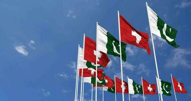 Pakistan and Switzerland Flags Waving Together in the Sky, Seamless Loop in Wind, Space on Left Side for Design or Information, 3D Rendering video