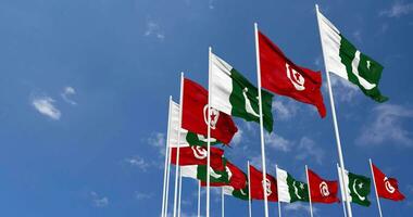 Pakistan and Tunisia Flags Waving Together in the Sky, Seamless Loop in Wind, Space on Left Side for Design or Information, 3D Rendering video