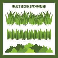 grass illustration collection in gradient style vector