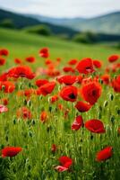 AI generated A field of red poppies in the foreground with a blurred green background and copy space to the right photo