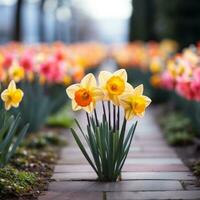 AI generated yellow daffodil with a blurred background of greenery photo