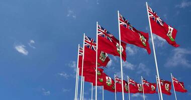 Bermuda Flags Waving in the Sky, Seamless Loop in Wind, Space on Left Side for Design or Information, 3D Rendering video