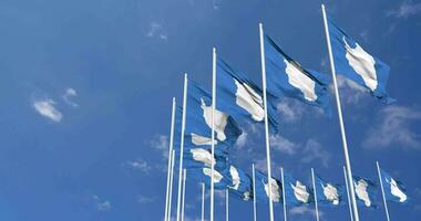 Antarctica Flags Waving in the Sky, Seamless Loop in Wind, Space on Left Side for Design or Information, 3D Rendering video