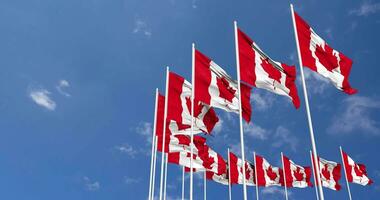 Canada Flags Waving in the Sky, Seamless Loop in Wind, Space on Left Side for Design or Information, 3D Rendering video