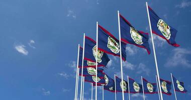 Belize Flags Waving in the Sky, Seamless Loop in Wind, Space on Left Side for Design or Information, 3D Rendering video