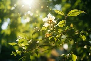 ai generado verde hojas y flores en el rayos de el Dom. primavera, verano antecedentes con difuminar. generado por artificial inteligencia foto