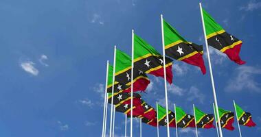 Saint Kitts and Nevis Flags Waving in the Sky, Seamless Loop in Wind, Space on Left Side for Design or Information, 3D Rendering video