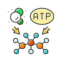 anabolism biochemistry color icon vector illustration