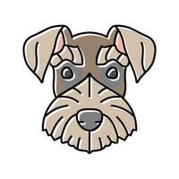 miniatura Schnauzer perro perrito mascota color icono vector ilustración