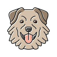 australian shepherd dog puppy pet color icon vector illustration