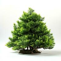 AI generated Green small pine tree on white background photo