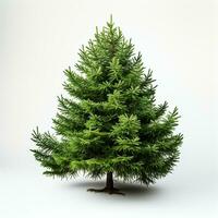 AI generated Green small pine tree on white background photo