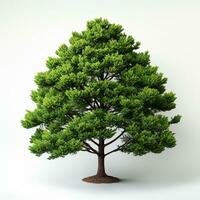 AI generated Green small pine tree on white background photo