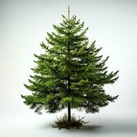 AI generated Green small pine tree on white background photo